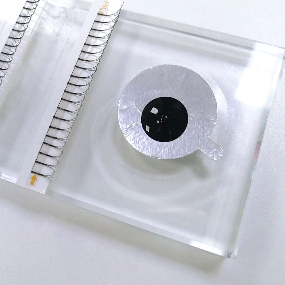 300Pcs/pack Disposable Waterpr - Lash Mapping Sticker ulasan dan harga